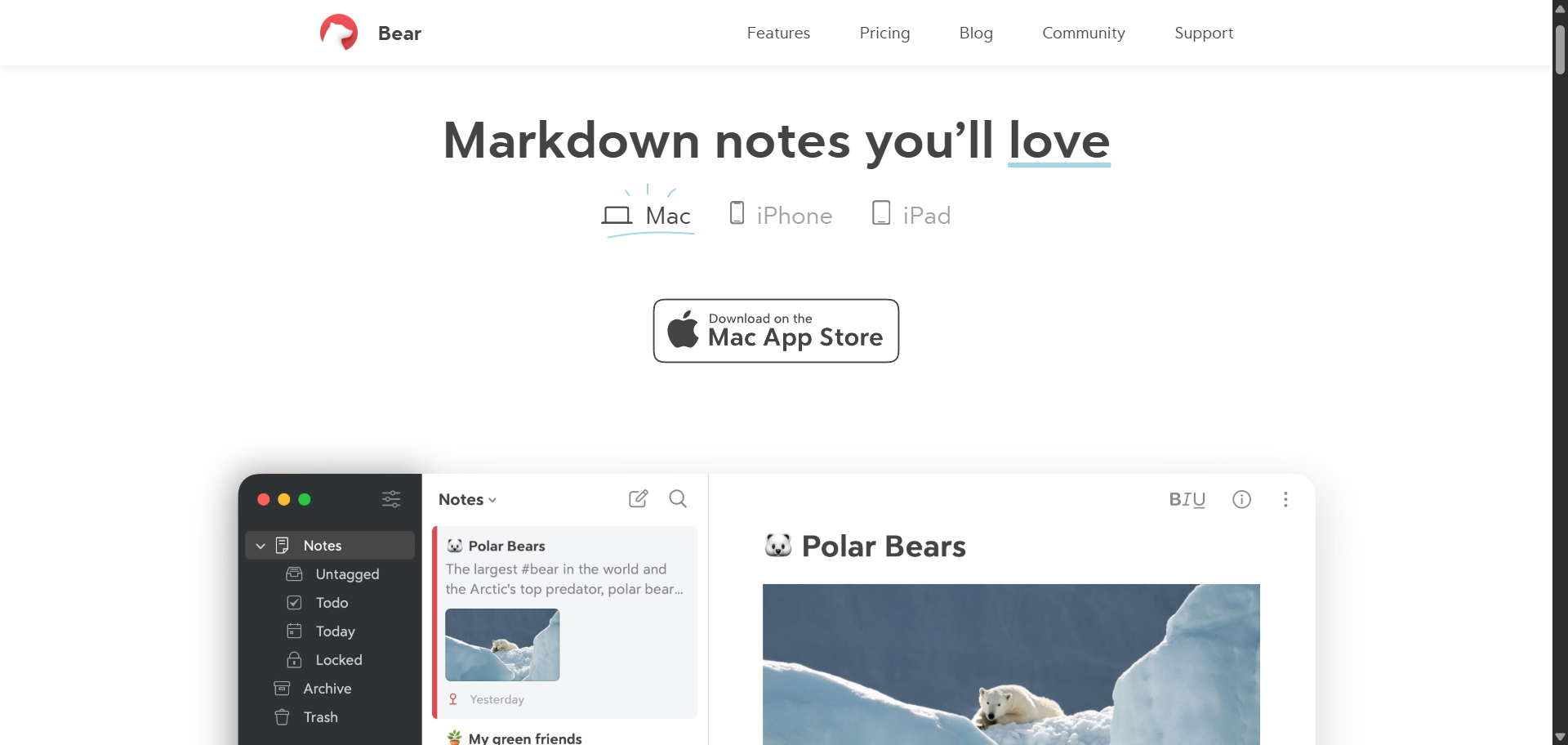 Bear Review: The Beautiful Markdown Notes App for Apple Users