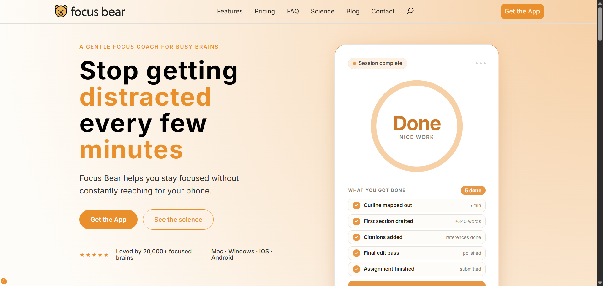 Focus Bear — featured