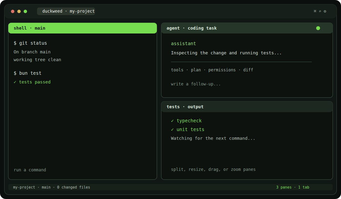 Duckweed — featured